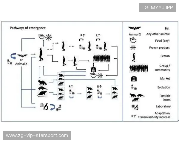 广东宏远争冠在即，豪门首轮大胜引人关注！，广东宏远正式完成重磅签约