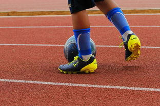 xk体育-CBA新赛季全面开打各队实力全面升级,cba新赛季有哪些球队